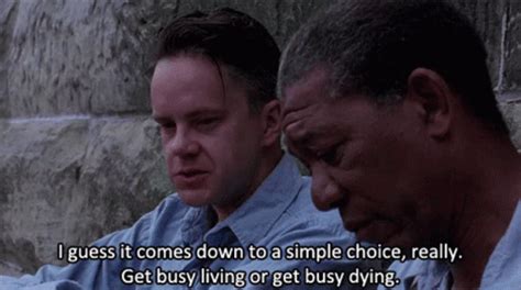 shawshank redemption memes|Shawshank Redemption GIF